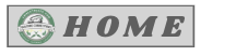 Home Button