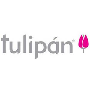 Tulipán