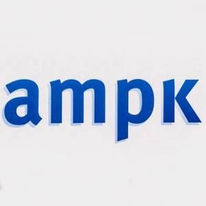 AMPK