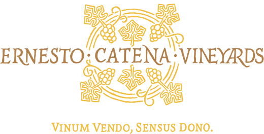 Ernesto Catena