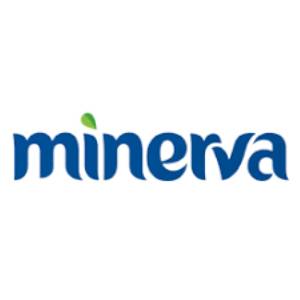 Minerva