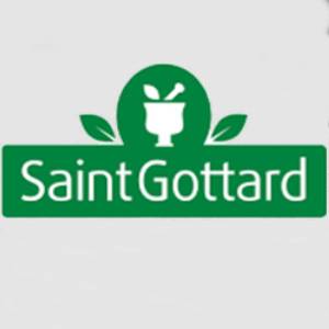 Saint Gottard