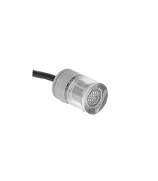 12V Landscape Light for Gardens and Patios Inlite