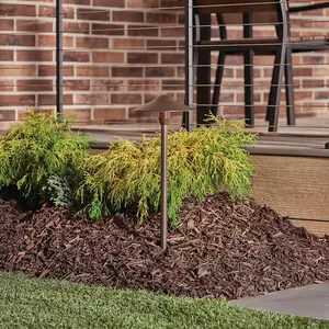 Path Light in Bronze Kichler Lighting 15310AZT