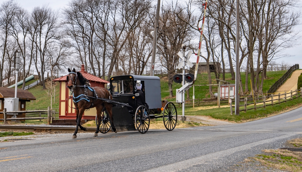 Wholesale Misc Items