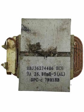 REACTOR lg EBJ36274406