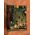 carte électronique DB9204743A  Samsung