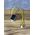bine vanne 4 voies ref 5021030