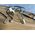 sonde groupe clim RAS-167 Toshiba