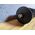 Turbine climatisation Ariston A-MW12-HOBN