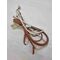 cordon chauffant pour compresseur ZIBRO