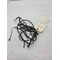 sonde groupe ballon oyugami